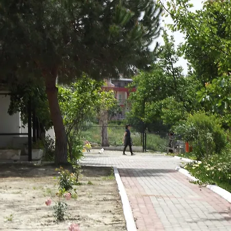 Limoncello Vila