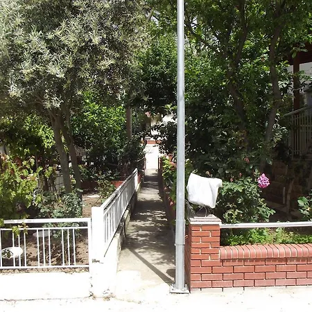 Limoncello *
